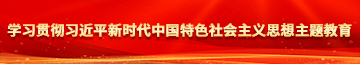 插女人黄色视频学习贯彻习近平新时代中国特色社会主义思想主题教育